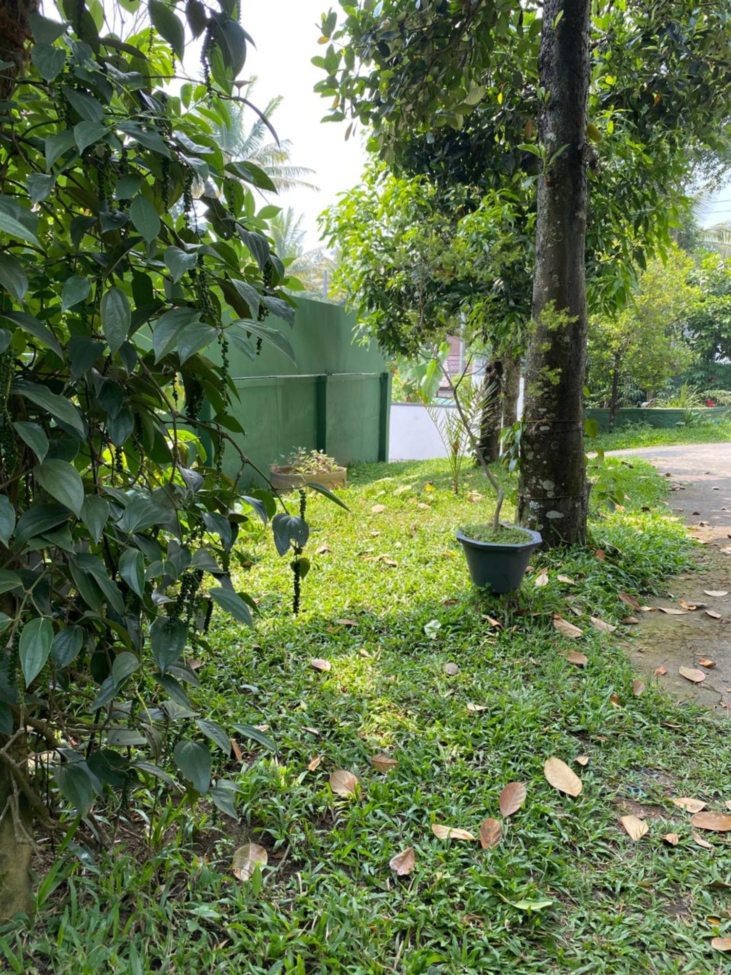 Tranquilou Homestay Thekkady Exterior foto